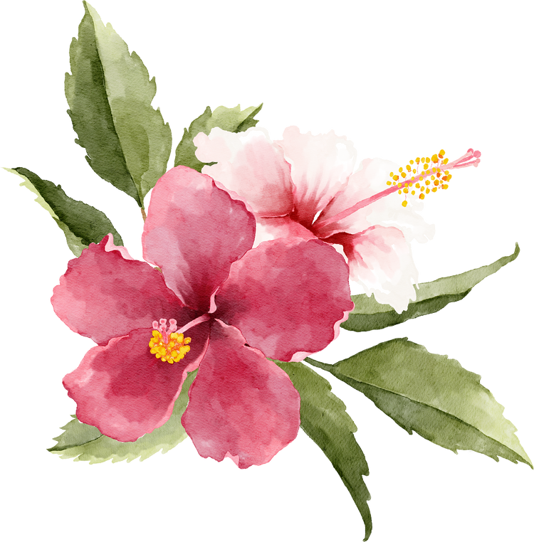 Bouquet of Tropical Hibiscus Flowers