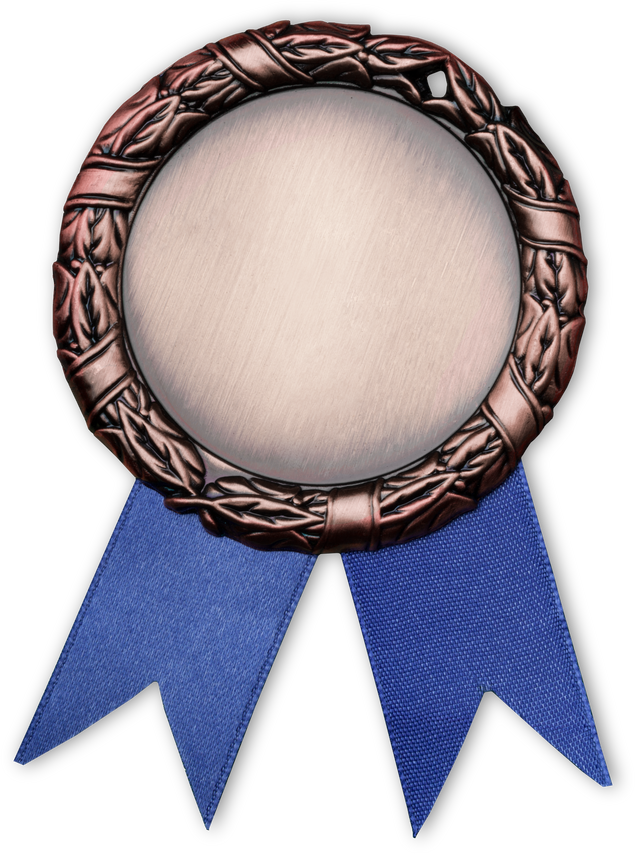 Bronze Medal with Blue Ribbon